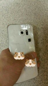Samsung Galaxy S6 - Trasera